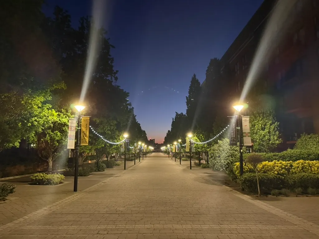 A lamp-lit avenue in Woolwich before dawn, a string of lights crossing between the lamps, the sky just turning